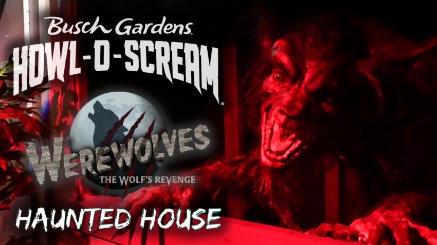 Pertarungan seru karakter utama melawan serigala di game Werewolves Revenge