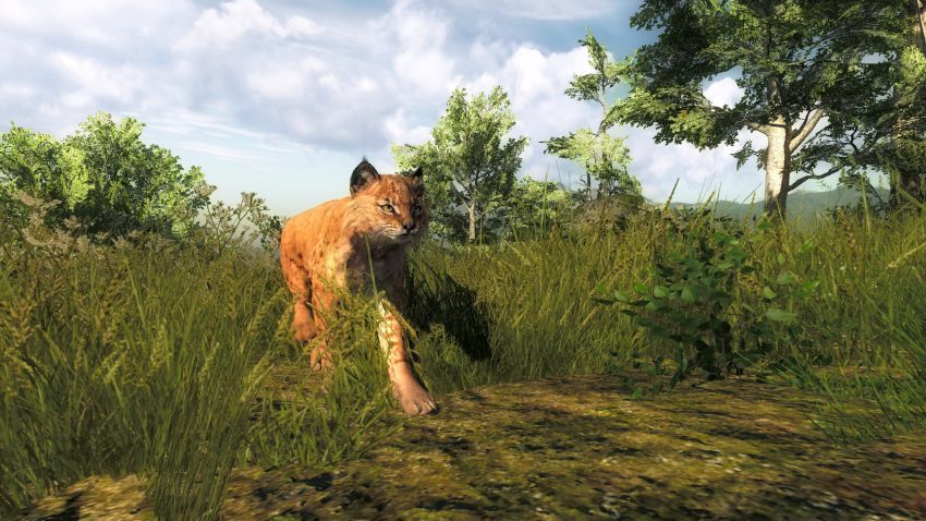 Gameplay theHunter Classic menampilkan karakter berburu rusa di hutan realistis PC
